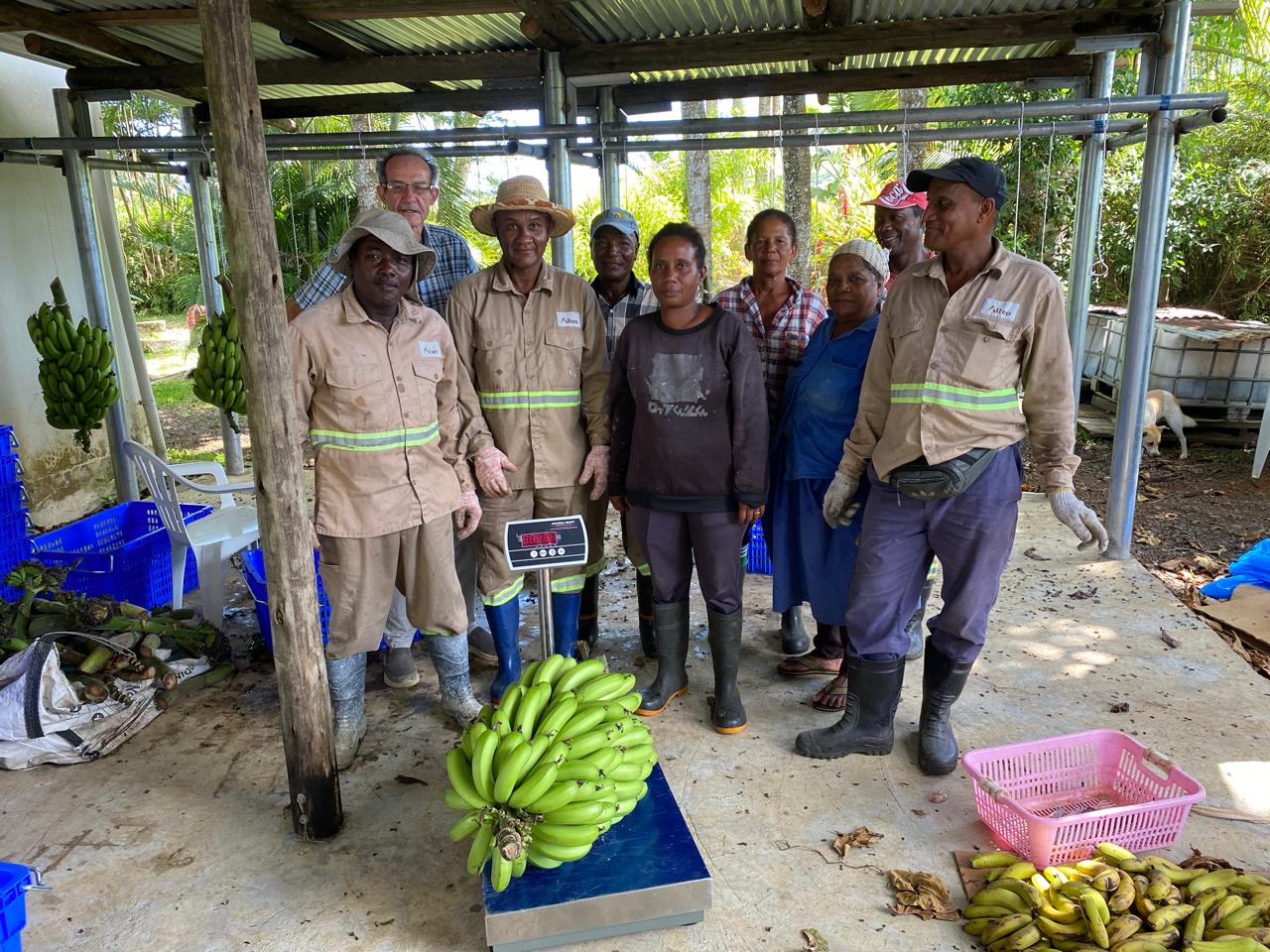 The Stoney Bananas farm team at the packing station, Ferney, Mauritius